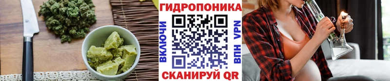 Canna-Cookies марихуана  как найти закладки  Оренбург 
