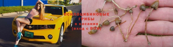 кокаин VHQ Ельня